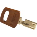 Safekey_key_brown.jpg