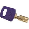 Safekey_key_purple.jpg