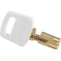 Safekey_key_white.jpg